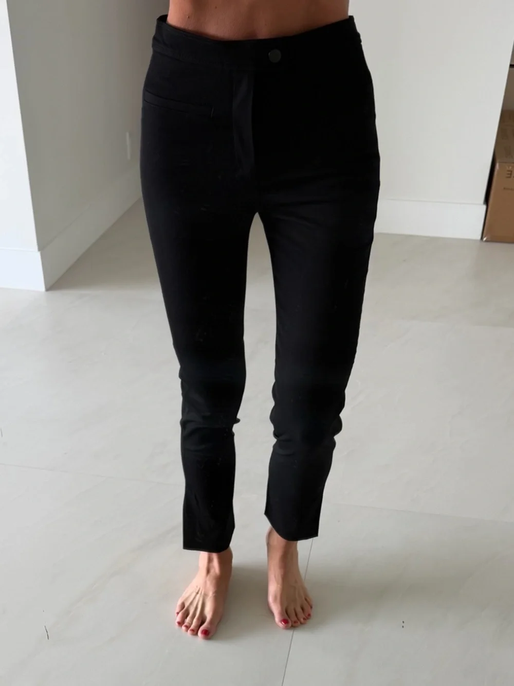 Zara dress Pant